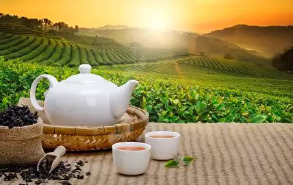 茶水費｜Refreshment fee ｜茶代 ｜ 차값.img
